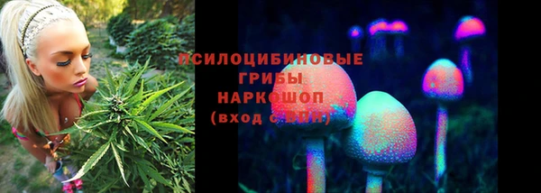 jwh Богородицк
