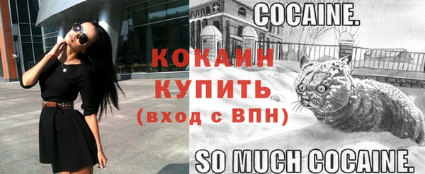jwh Богородицк