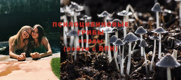 винт Богданович