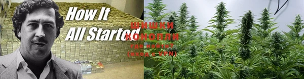 винт Богданович