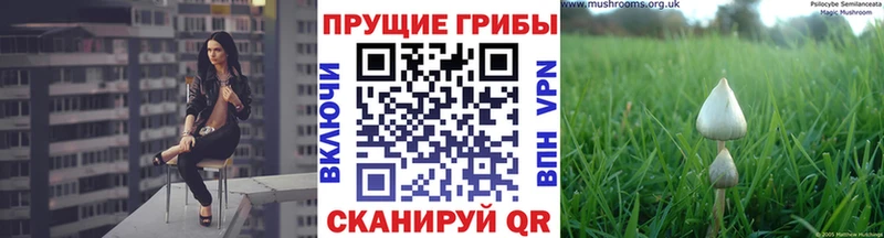 как найти закладки  Воркута  Псилоцибиновые грибы MAGIC MUSHROOMS 