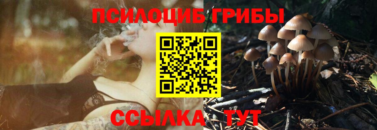 Воркута  Псилоцибиновые грибы ЛСД  Вход с VPN  Галлюциногенные грибы Cubensis 